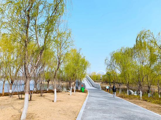 1615341234690166.jpg 383.jpg